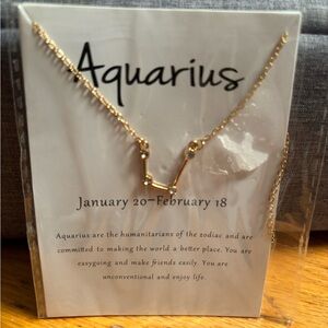 NEW Aquarius ZodiacConstellation Necklace